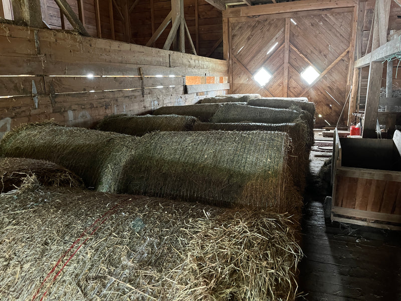 Hay, Hay and More Hay