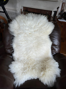 Very Large Thick Sheep Pelt