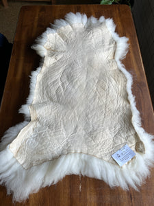 Very Large Thick Sheep Pelt