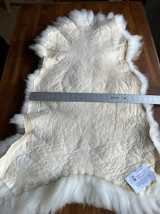 Very Large Thick Sheep Pelt