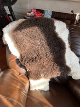 Load image into Gallery viewer, Wonderfully Soft Brown Finn Lamb Pelt Washable
