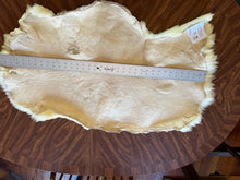 Load image into Gallery viewer, Thick and Soft White Columbia Lamb Pelt Washable
