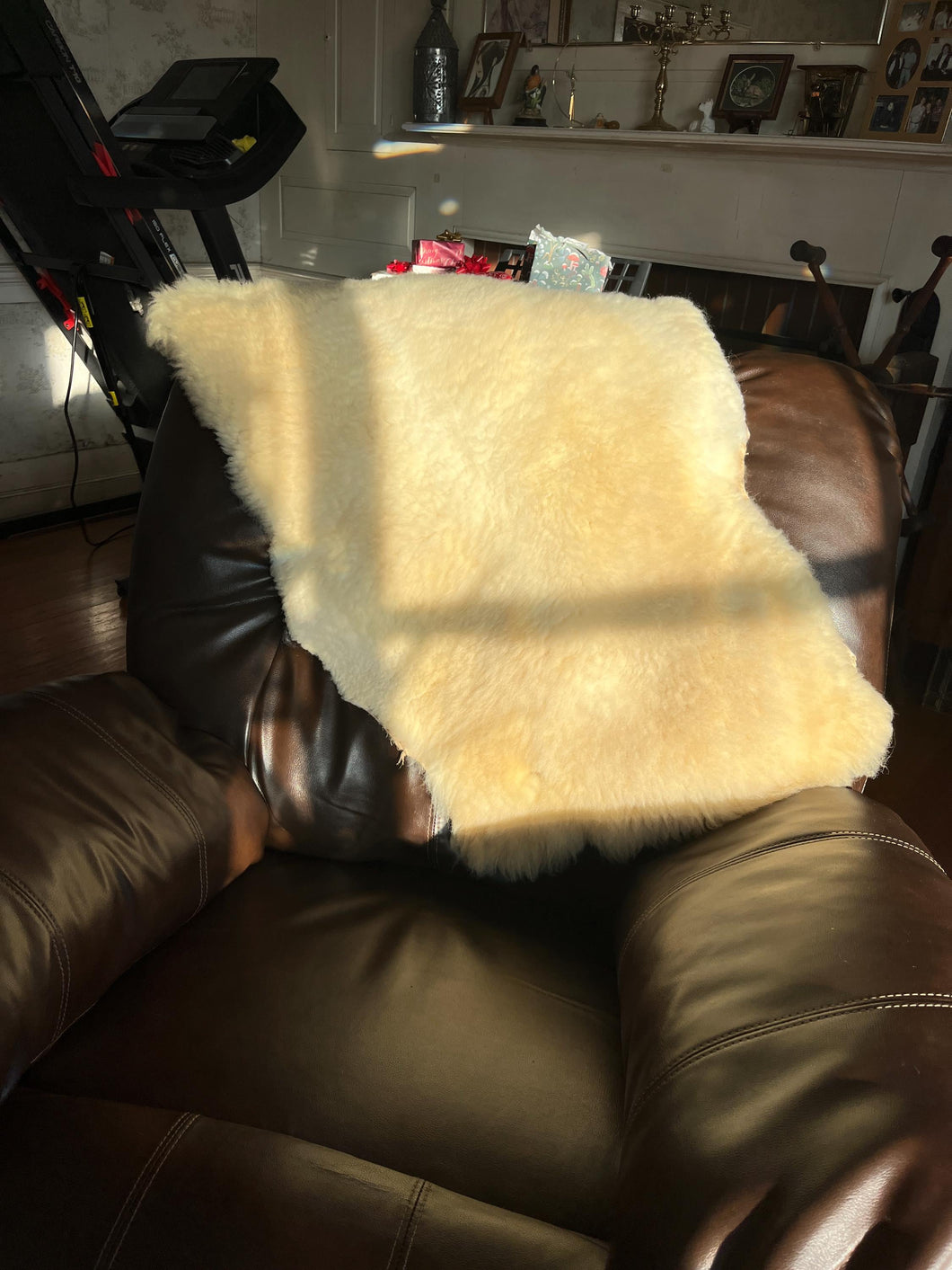 Thick White Polypay Lamb Pelt Washable