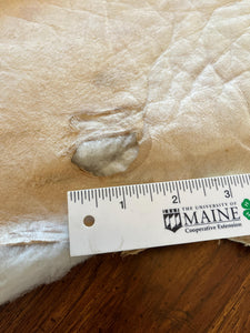 Nice Thick White Polypay Lamb Pelt Washable