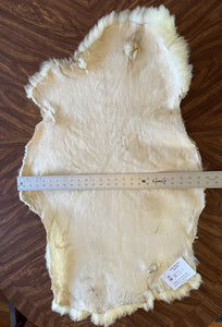 Thick White Polypay Lamb Pelt Washable