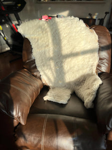 Nice Thick White Polypay Lamb Pelt Washable