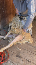 Load and play video in Gallery viewer, Lincoln Longwool Locks and Fleece
